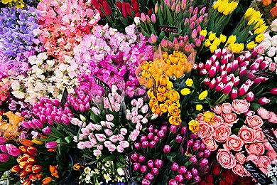 《寂静岭》重制版总策划冈本基：三部同时官宣为证明官方重视程度