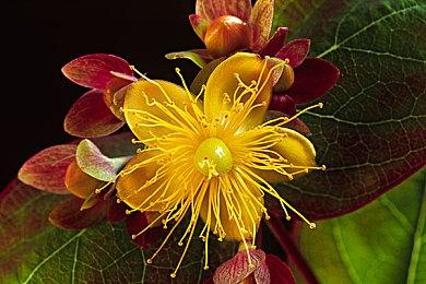 《明日方舟：终末地》15分钟「再次测试」实机展示