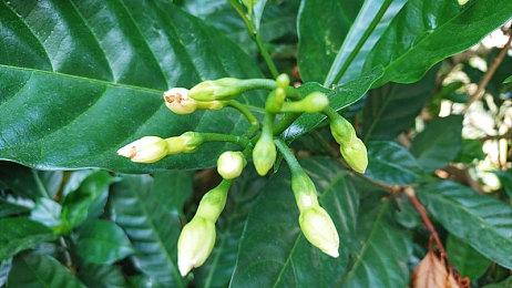 《黑神话》亢金星君淡妆模型图赏：更加靓丽了